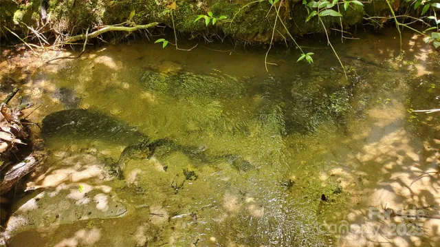 $175,000 | 755 Hamilton Drive, Columbus, NC 28722