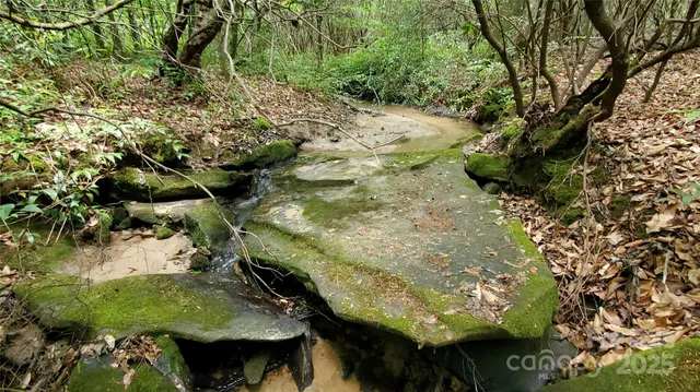 $175,000 | 755 Hamilton Drive, Columbus, NC 28722