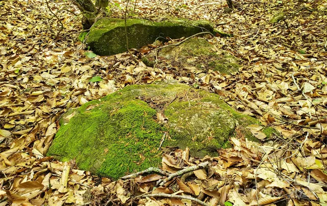 $175,000 | 755 Hamilton Drive, Columbus, NC 28722