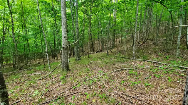 $175,000 | 755 Hamilton Drive, Columbus, NC 28722