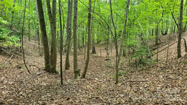 $175,000 | 755 Hamilton Drive, Columbus, NC 28722