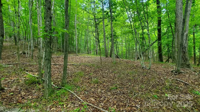 $175,000 | 755 Hamilton Drive, Columbus, NC 28722