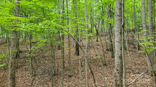 $175,000 | 755 Hamilton Drive, Columbus, NC 28722