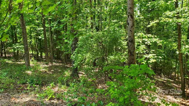 $175,000 | 755 Hamilton Drive, Columbus, NC 28722