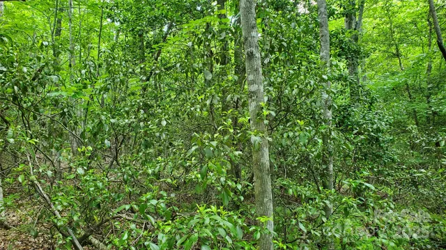 $175,000 | 755 Hamilton Drive, Columbus, NC 28722