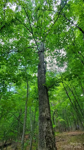 $175,000 | 755 Hamilton Drive, Columbus, NC 28722