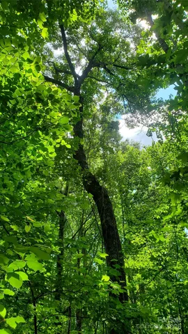 $175,000 | 755 Hamilton Drive, Columbus, NC 28722