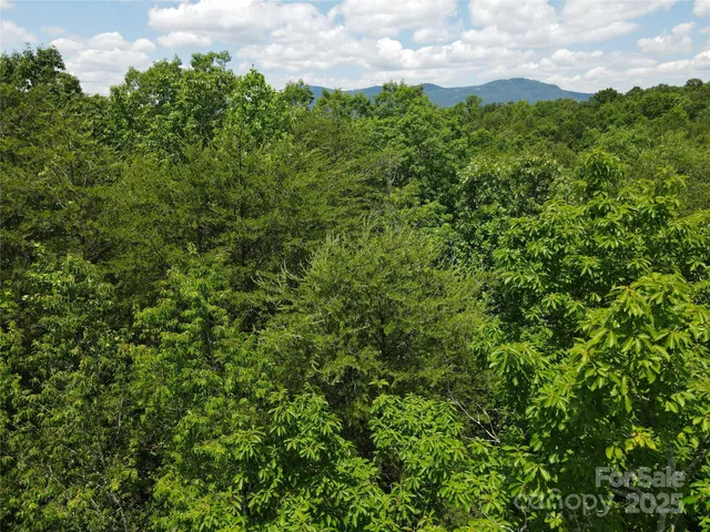 $175,000 | 755 Hamilton Drive, Columbus, NC 28722