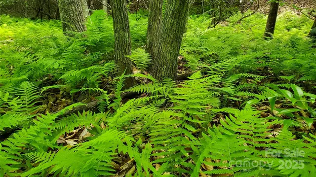 $175,000 | 755 Hamilton Drive, Columbus, NC 28722