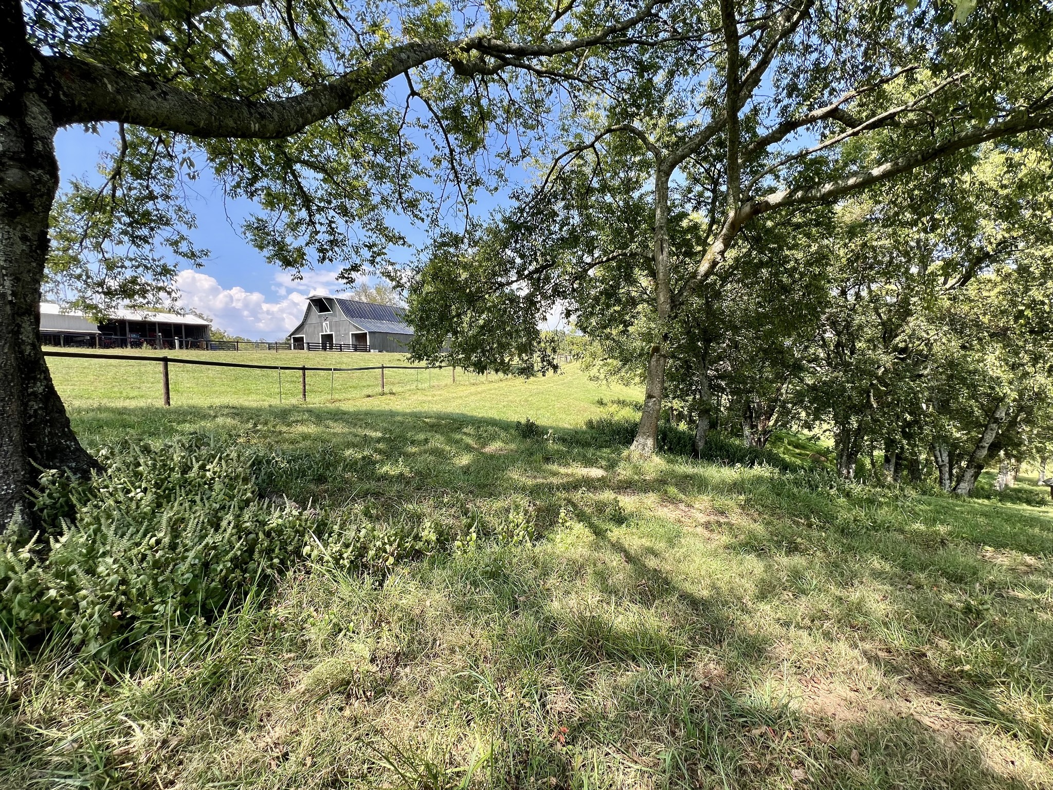 1400 Ragsdale Lane Pulaski, TN 38478 - Photo 8 of 100