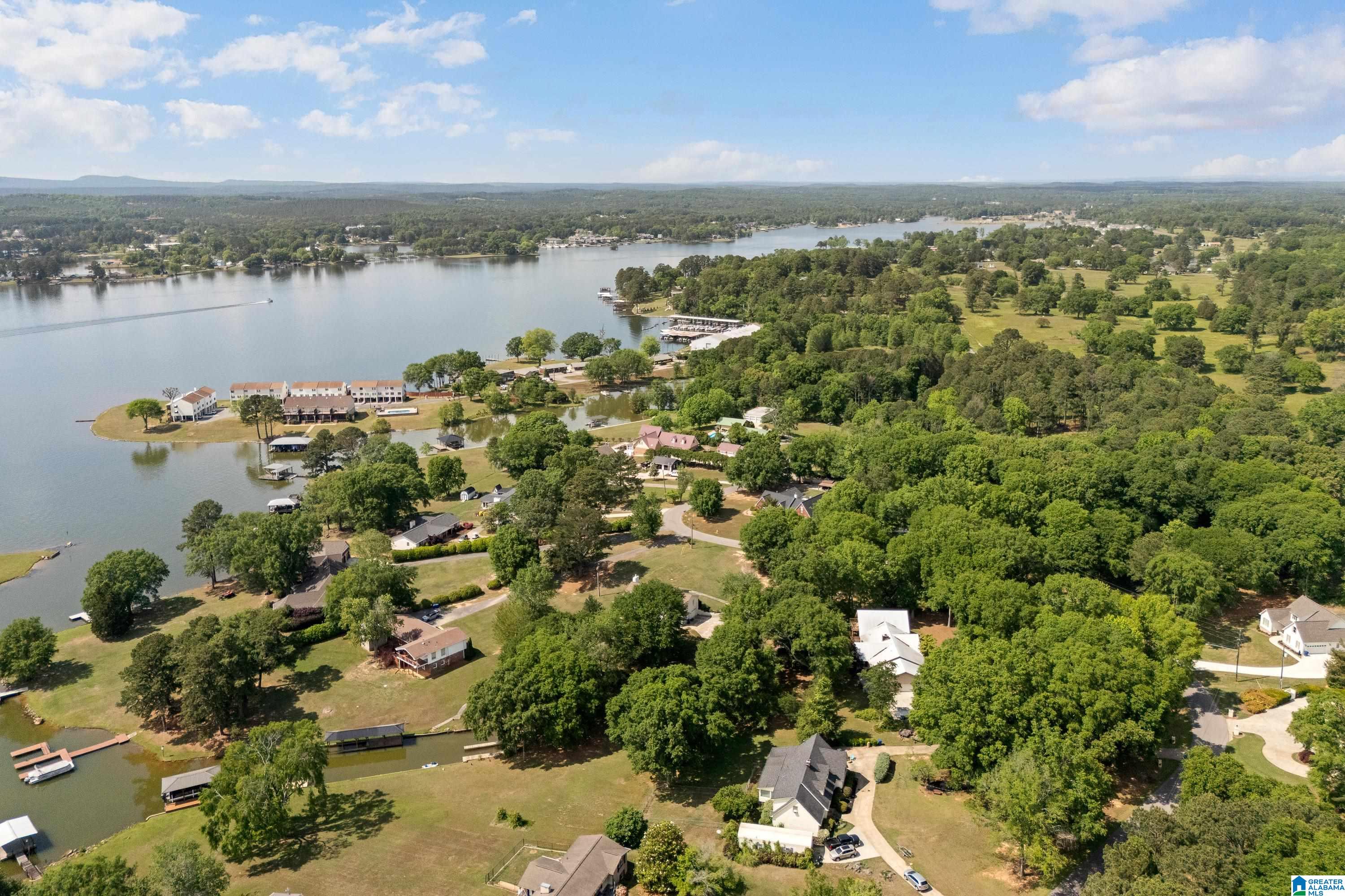 1702 Pine Harbor Road Pell City, AL 35128 - Photo 64 of 71