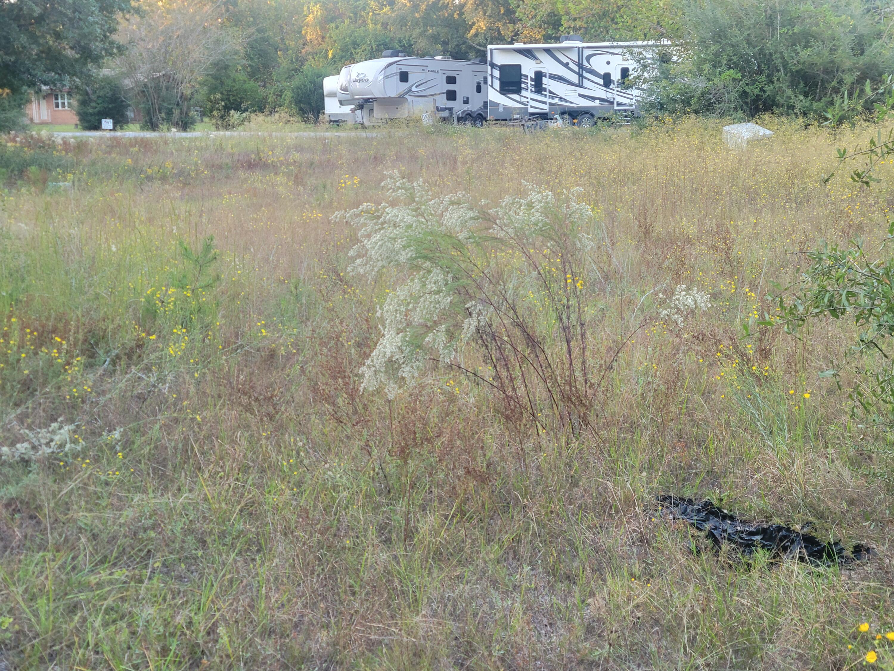 1792 County Highway 183 South DeFuniak Springs, FL 32435 - Photo 3 of 9