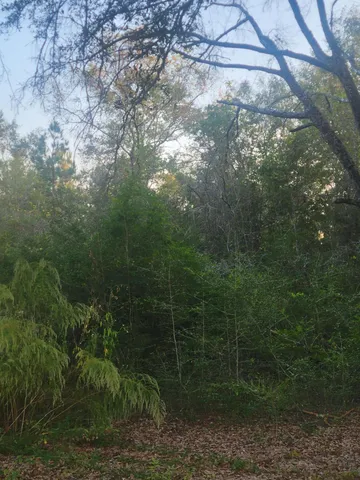 $250,000 | 1792 County Highway 183 South, DeFuniak Springs, FL 32435