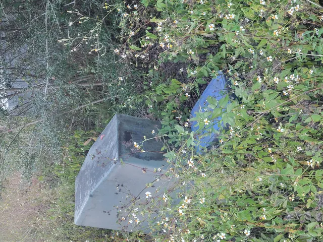 $250,000 | 1792 County Highway 183 South, DeFuniak Springs, FL 32435