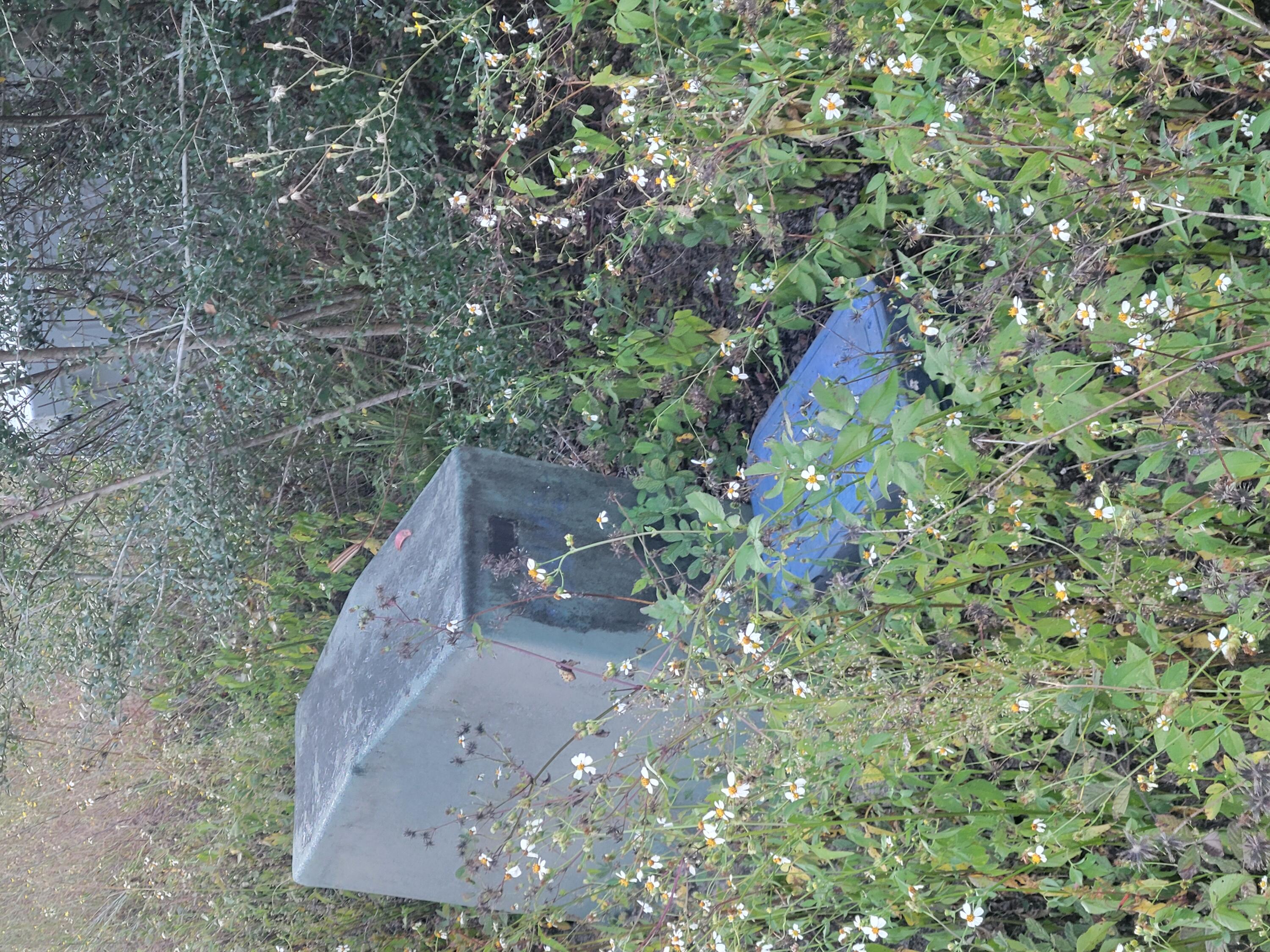 1792 County Highway 183 South DeFuniak Springs, FL 32435 - Photo 9 of 9 a view of a yard with a tree