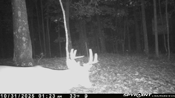 33509 Clipner Road Londonderry, OH 45647 - Photo 34 of 46 Image-1