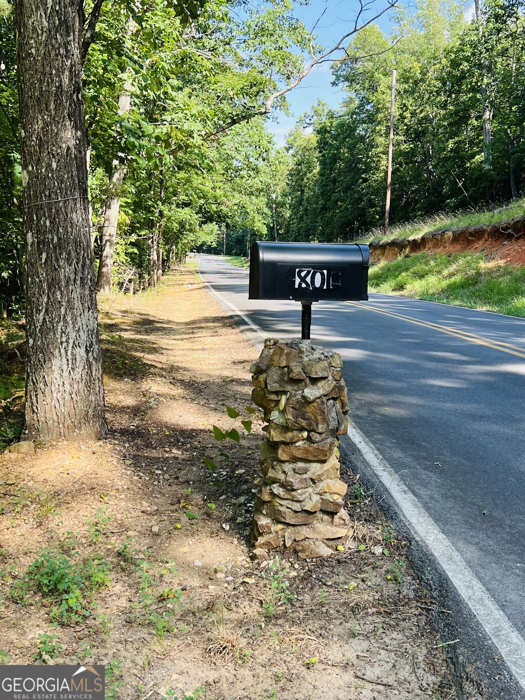 801 Radio Springs Road Southwest Rome, GA 30165 - Photo 1 of 1 a view of a yard with large trees