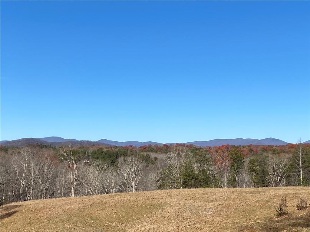 6.4 Sheep Wallow Road Dahlonega, GA 30533 - Photo 1 of 1 Gallery Image 1