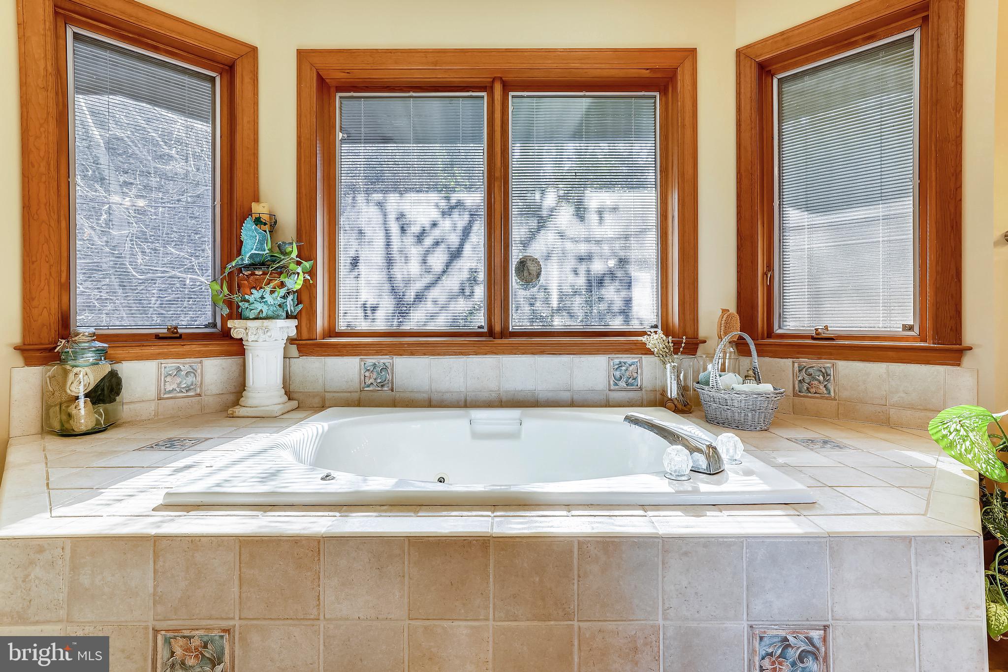 3 Beach Road Annapolis, MD 21405 - Photo 28 of 55 Master Bathroom - Tub