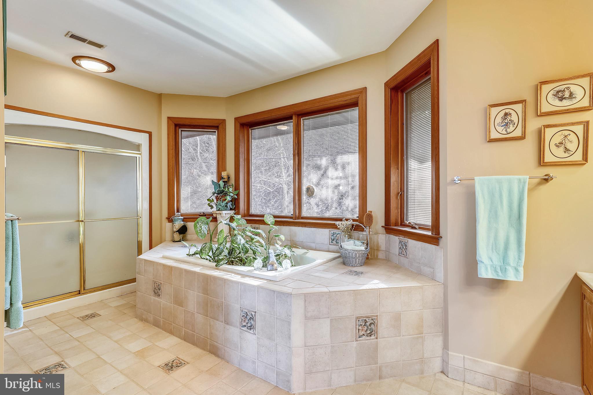 3 Beach Road Annapolis, MD 21405 - Photo 30 of 55 Master Bathroom