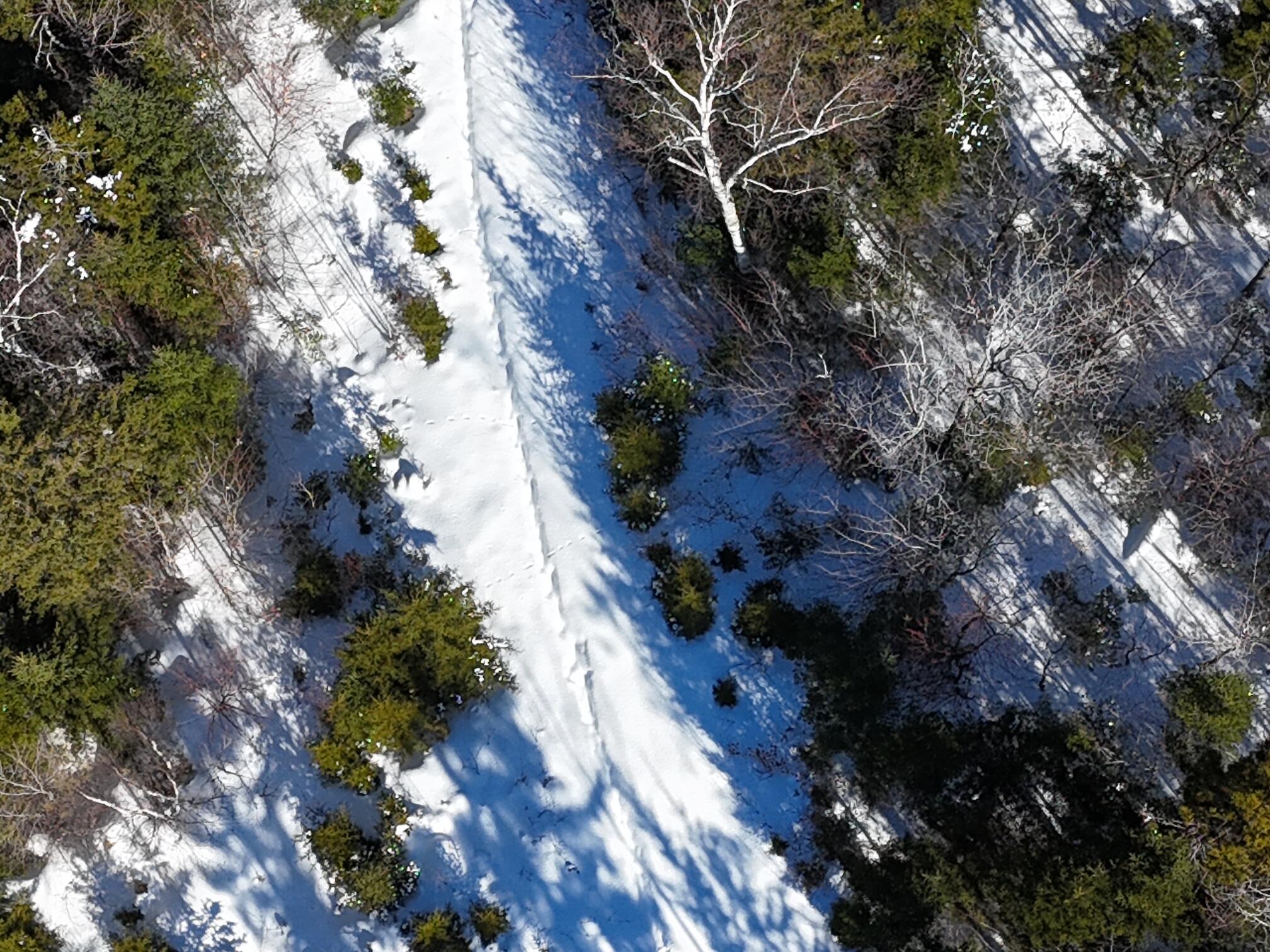 2020-2022 Pond Road Carrabassett Valley, ME 04947 - Photo 9 of 17 dji_fly_20260215_130522_0448_17712502743