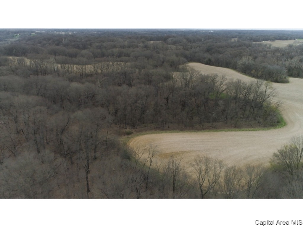 Timothy Road Astoria, IL 61501 - Photo 11 of 21