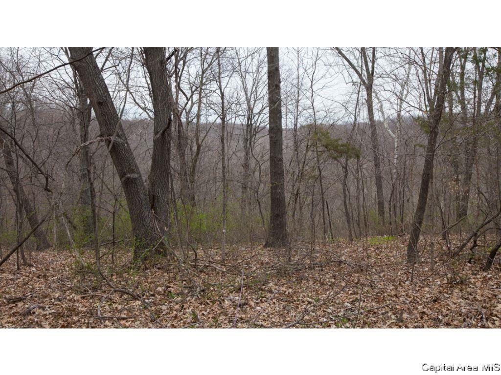 Timothy Road Astoria, IL 61501 - Photo 13 of 21