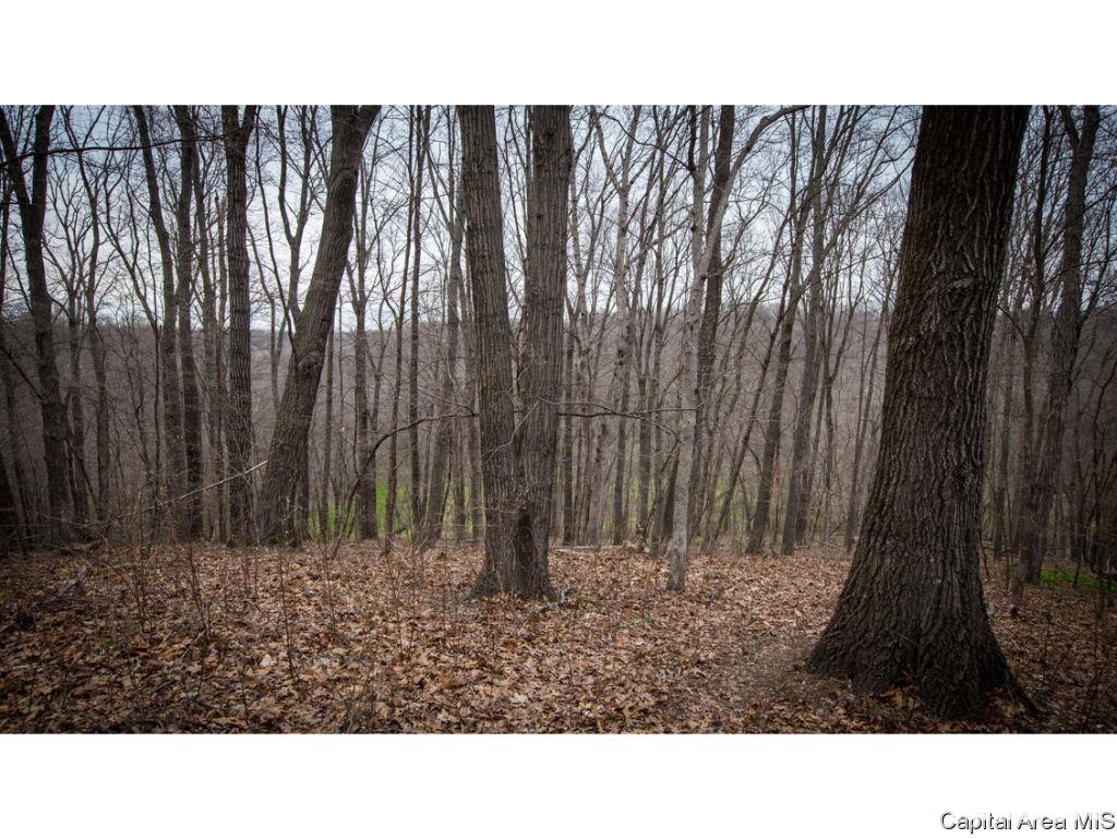 Timothy Road Astoria, IL 61501 - Photo 14 of 21