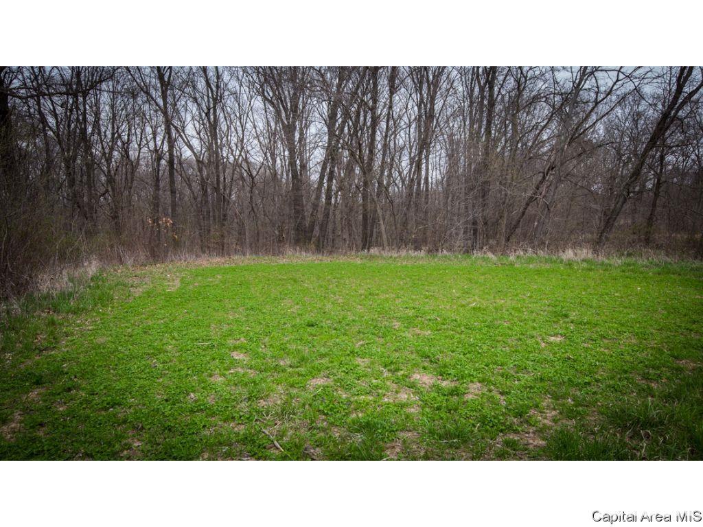 Timothy Road Astoria, IL 61501 - Photo 5 of 21