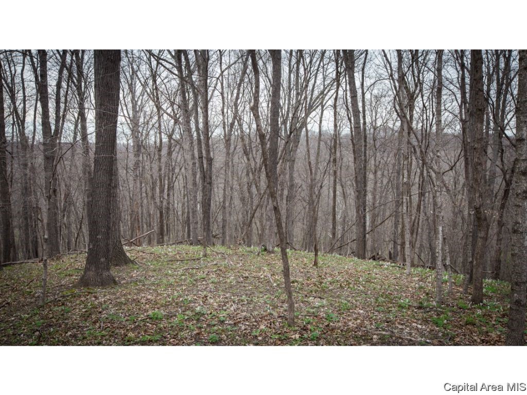 Timothy Road Astoria, IL 61501 - Photo 8 of 21