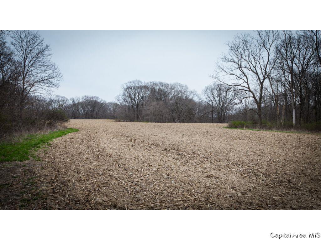 Timothy Road Astoria, IL 61501 - Photo 10 of 21