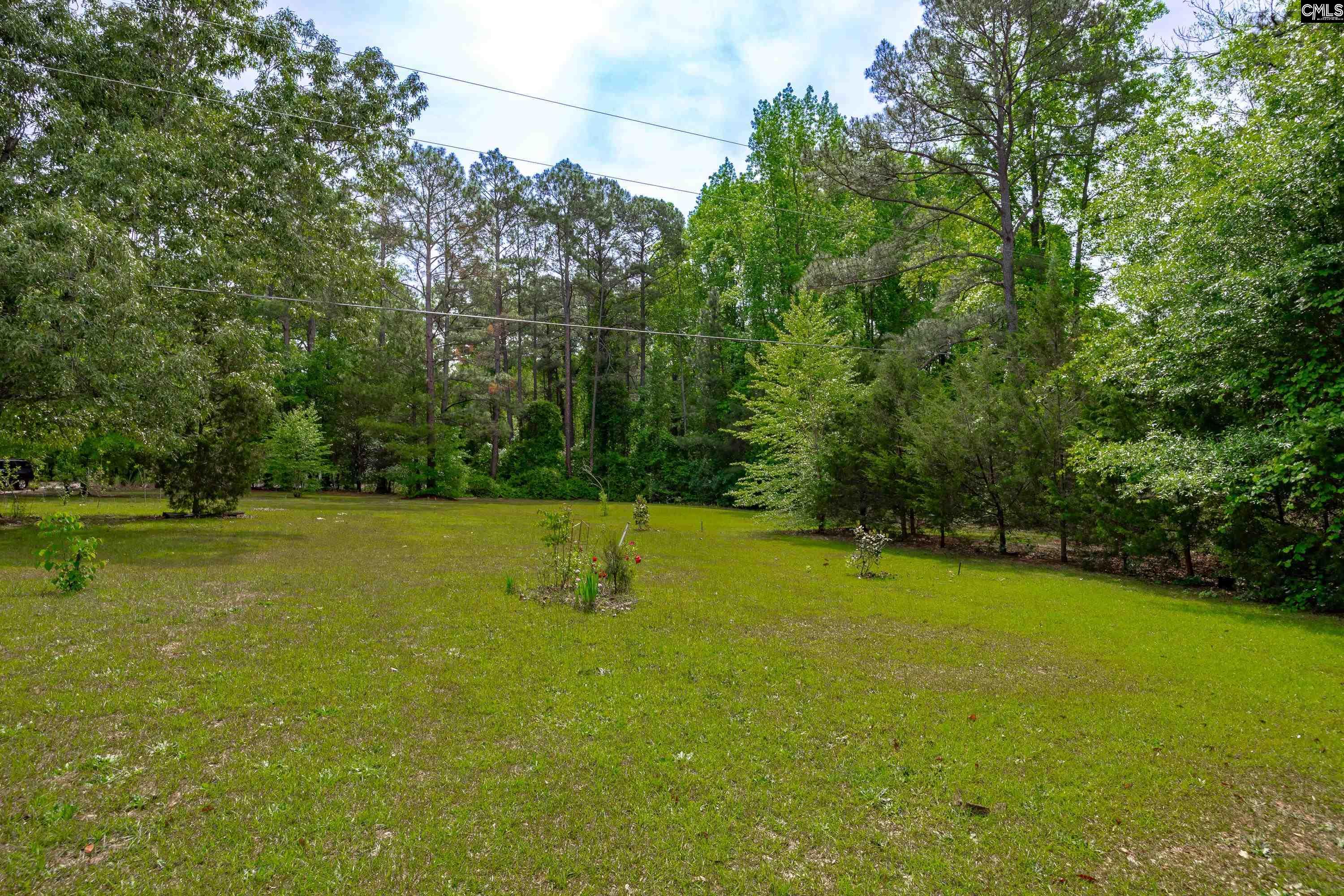1571 Chestnut Road Elgin, SC 29045 - Photo 38 of 45