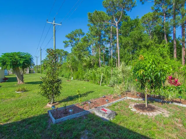 a view of a backyard with potted plants and a large tree