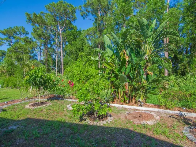 a view of a backyard with plants