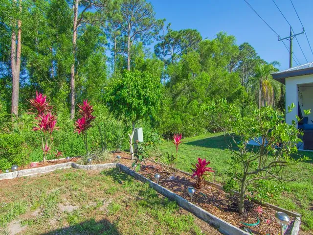a view of a back yard of the house