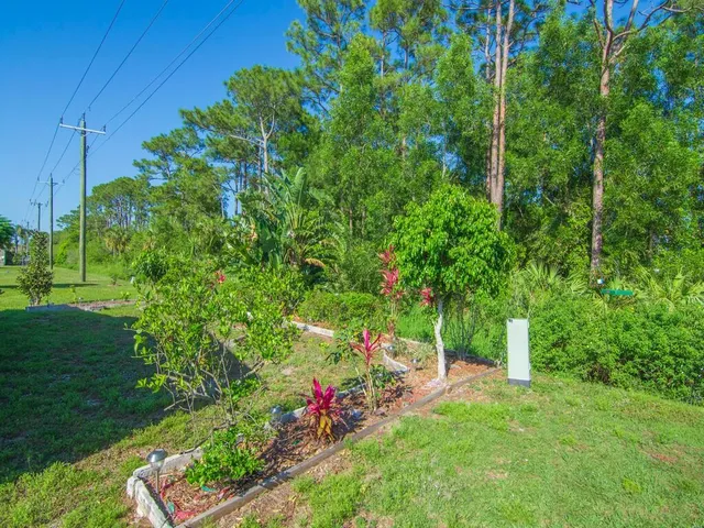 a backyard of a house with lots of green space