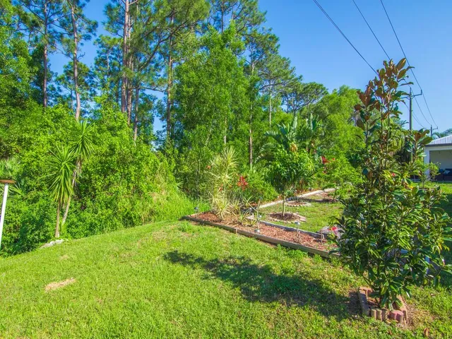 a view of house with a garden