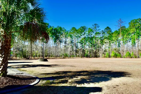 $450,000 | 3554 Jordanville Road, Galivants Ferry, SC 29544