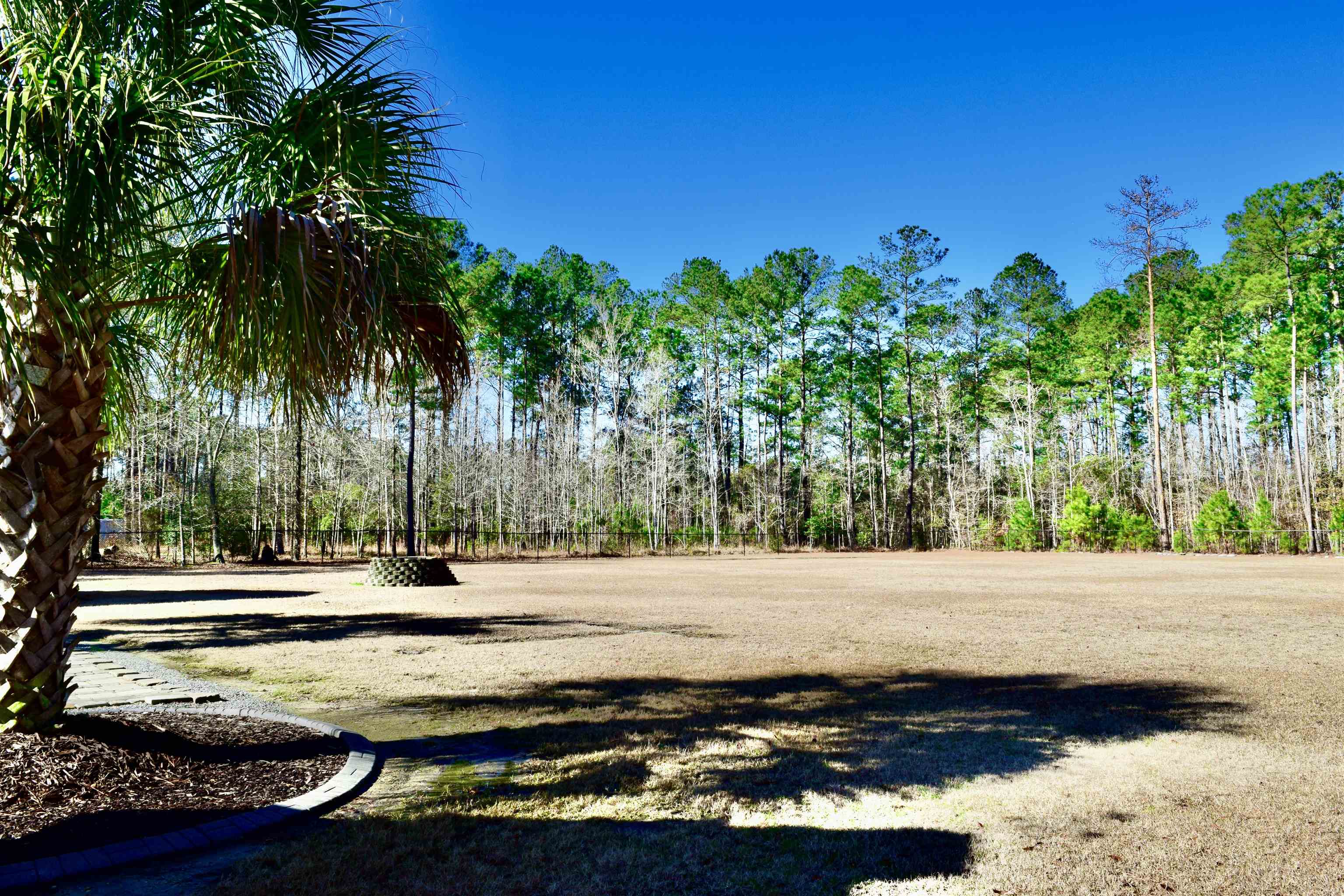 3554 Jordanville Road Galivants Ferry, SC 29544 - Photo 41 of 43