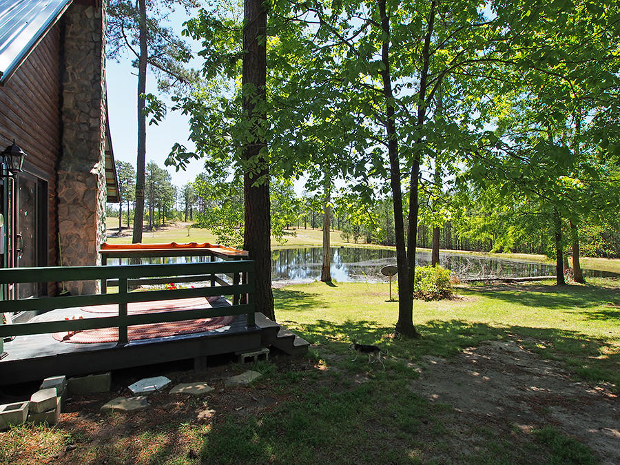 725 Thunder Road Pinebluff, NC 28373 - Photo 27 of 46 pond2