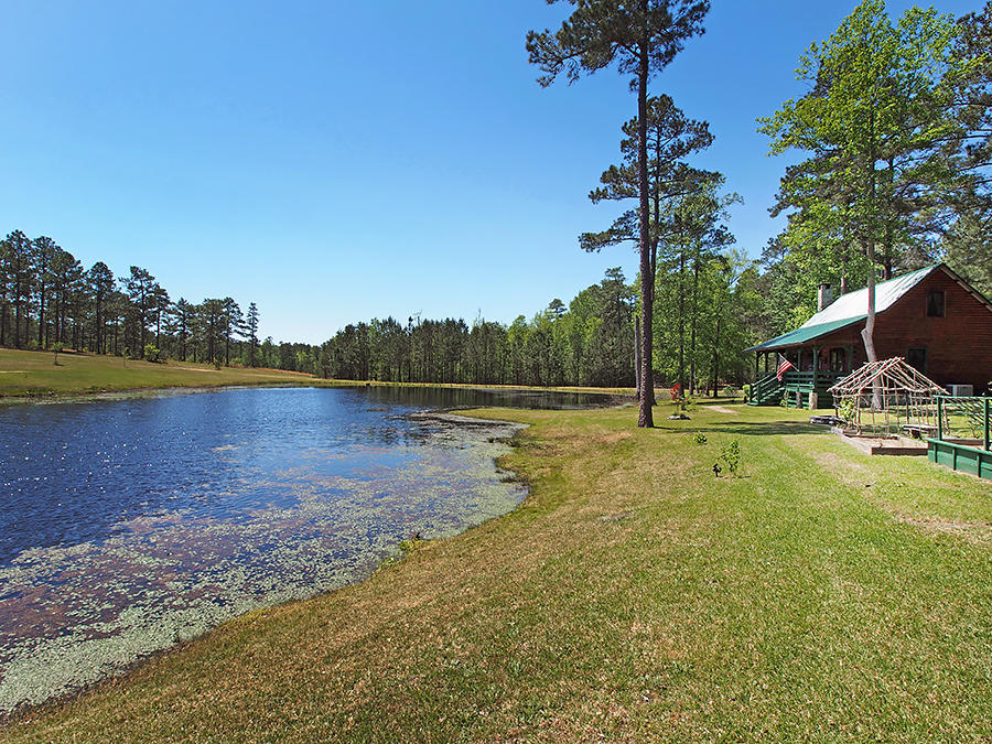 725 Thunder Road Pinebluff, NC 28373 - Photo 29 of 46 pond8
