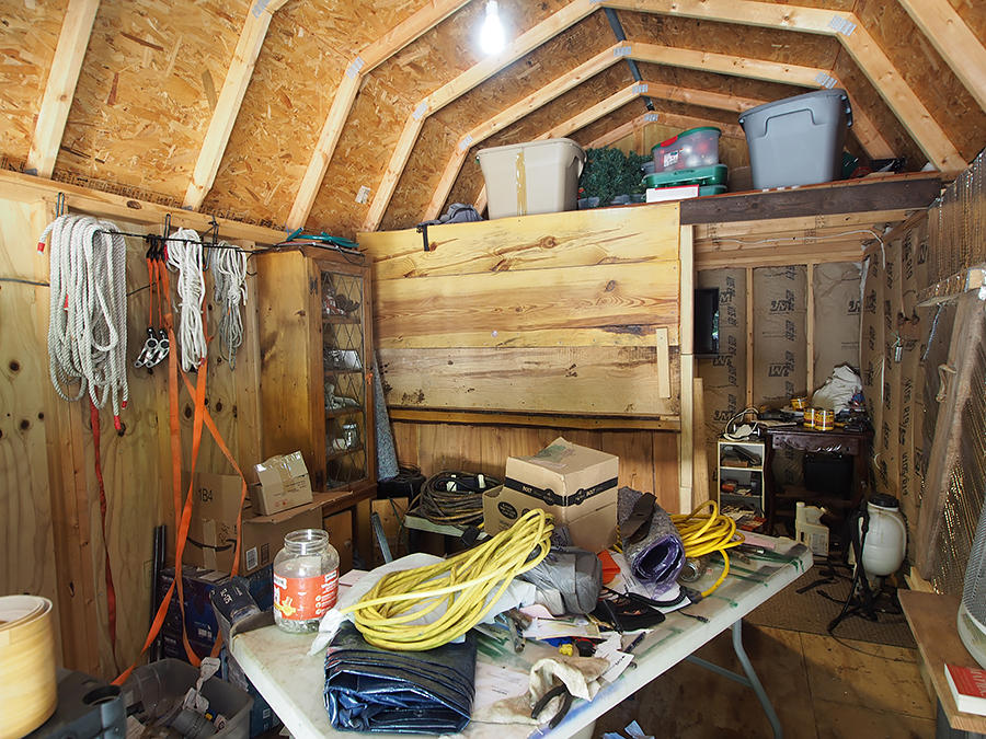 725 Thunder Road Pinebluff, NC 28373 - Photo 32 of 46 shed2