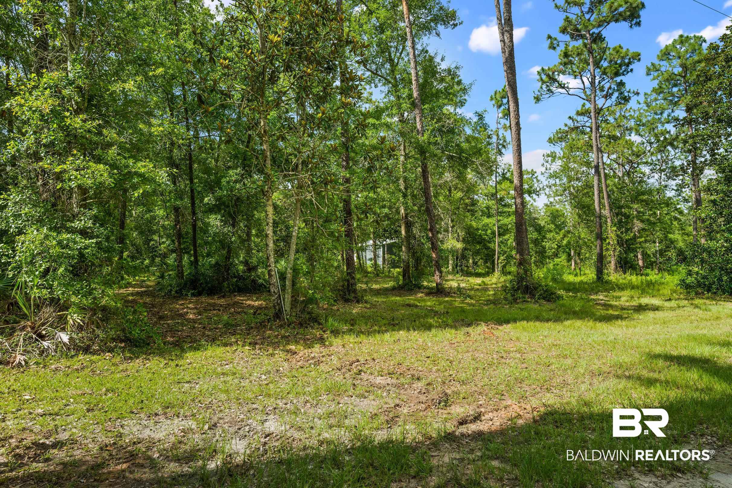0 Eckman Road Elberta, AL 36530 - Photo 9 of 18 View of local wilderness