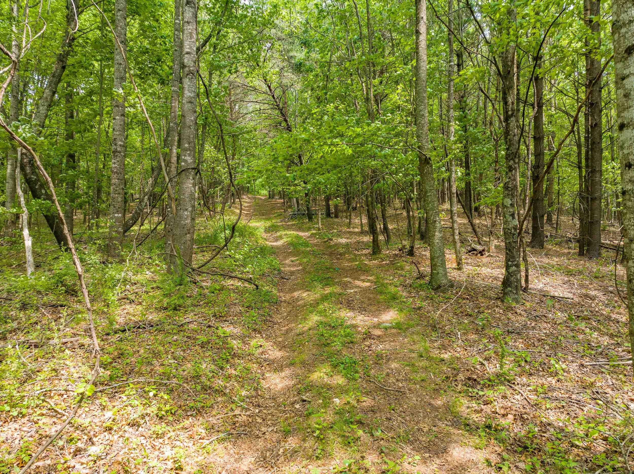 Tbd Apache Road Woodlawn, VA 24381 - Photo 20 of 48 Gallery Image 20