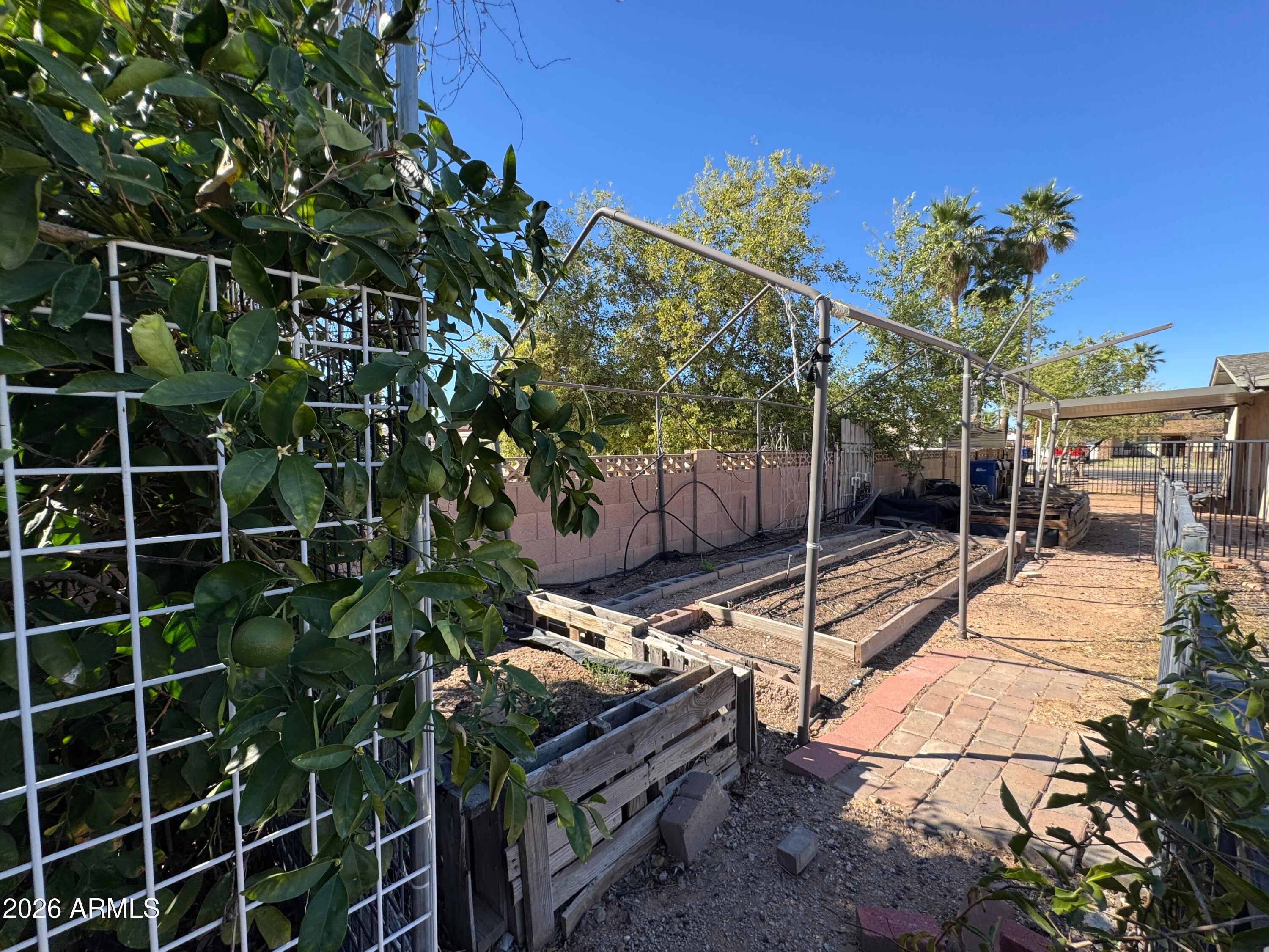 6317 East McLellan Road Mesa, AZ 85205 - Photo 27 of 28 a view of a backyard