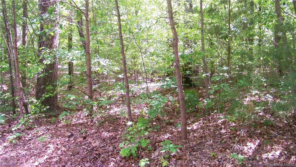 0 Old Hickory Road Locust, NC 28097 - Photo 2 of 3 Gallery Image 2