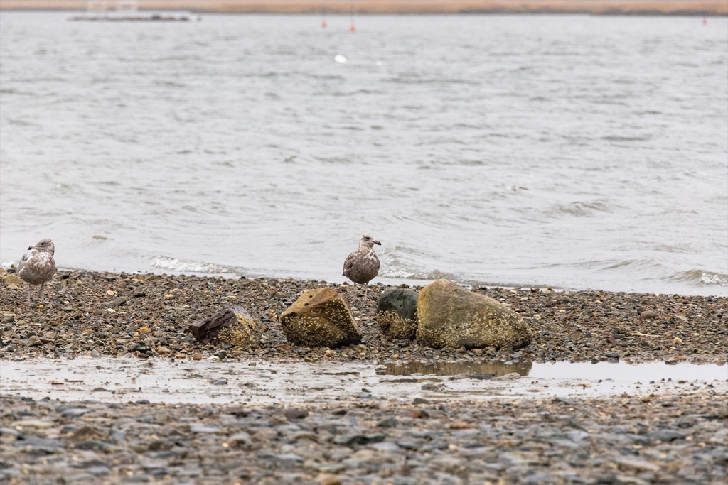 15 Eagle Hill Road Ipswich, MA 01938 - Photo 35 of 41 a view of beach and ocean