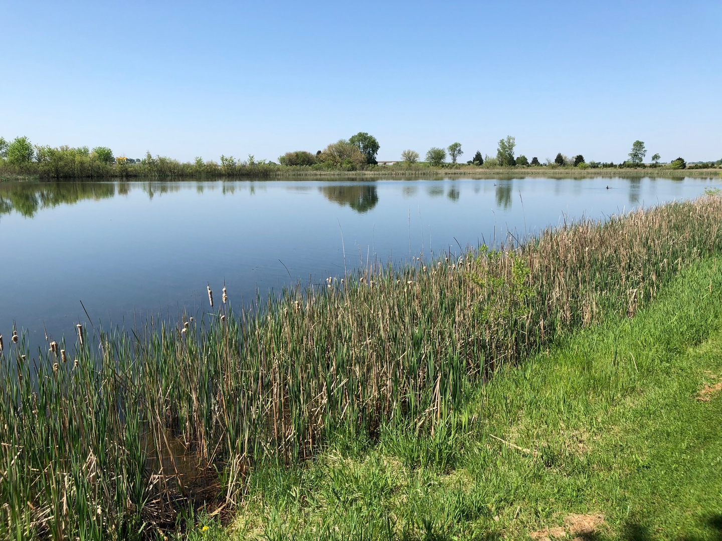 2437 Quarry Road Ashton, IL 61006 - Photo 1 of 13 a view of a lake with houses in the back