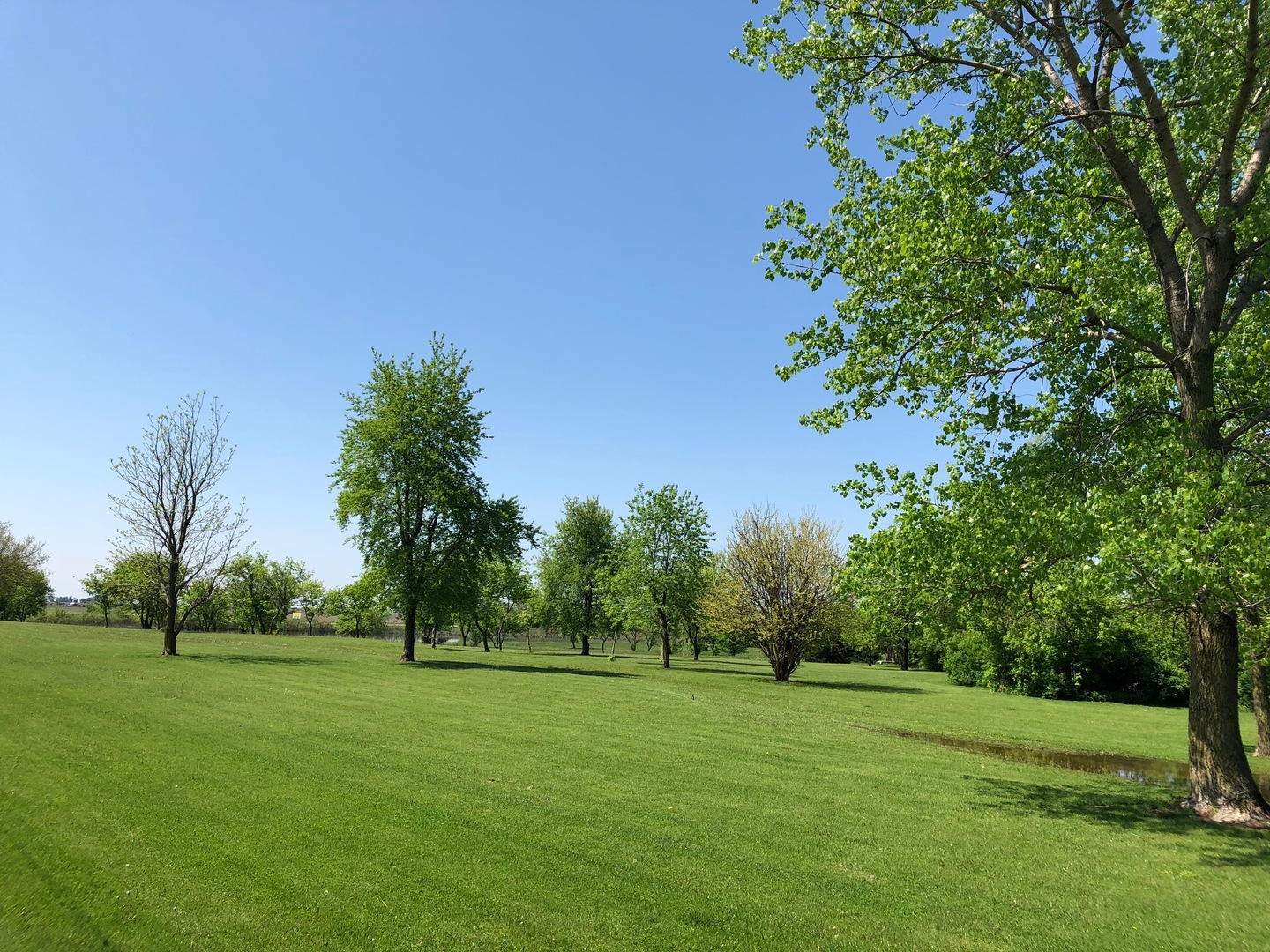 2437 Quarry Road Ashton, IL 61006 - Photo 12 of 13 a view of a grassy field with trees