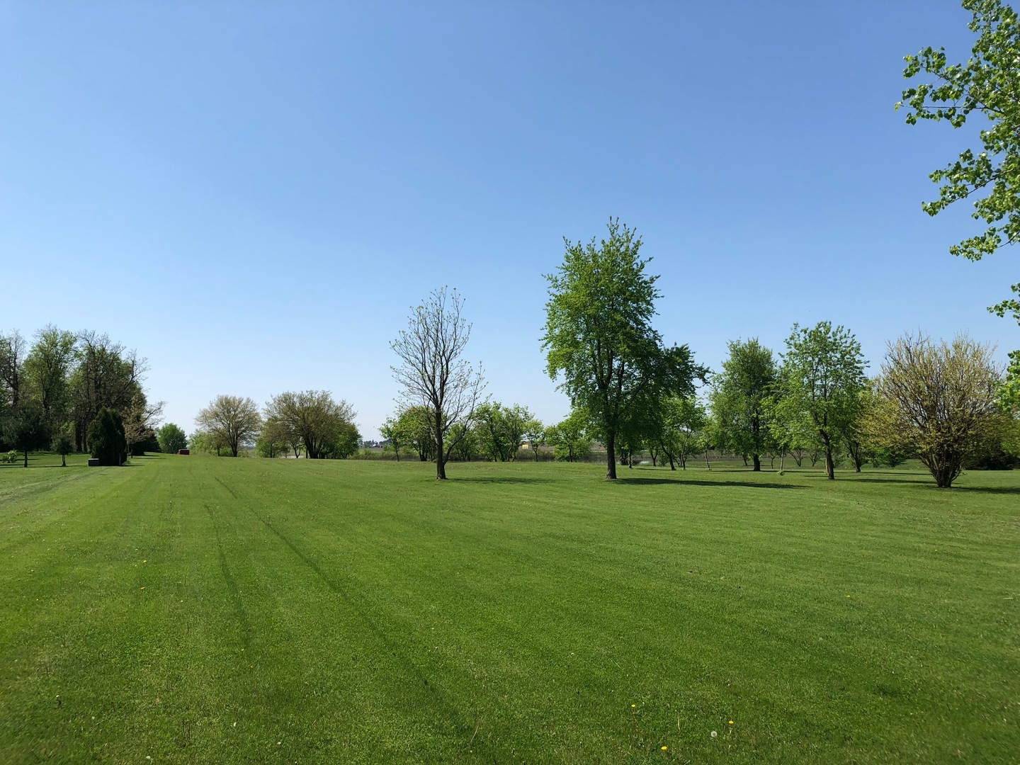 2437 Quarry Road Ashton, IL 61006 - Photo 13 of 13 a grassy field with trees in the background